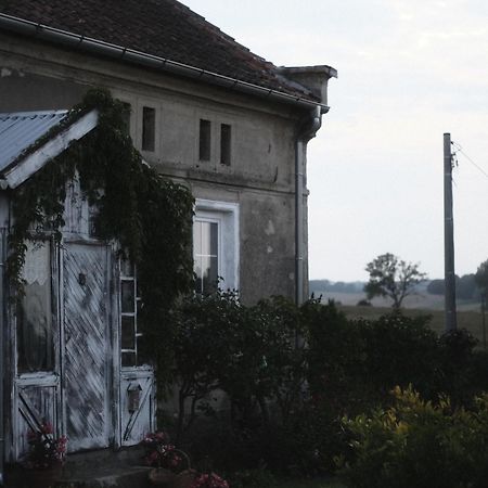 Miejsce Mocy Mazury Apartment Kolno  Bagian luar foto