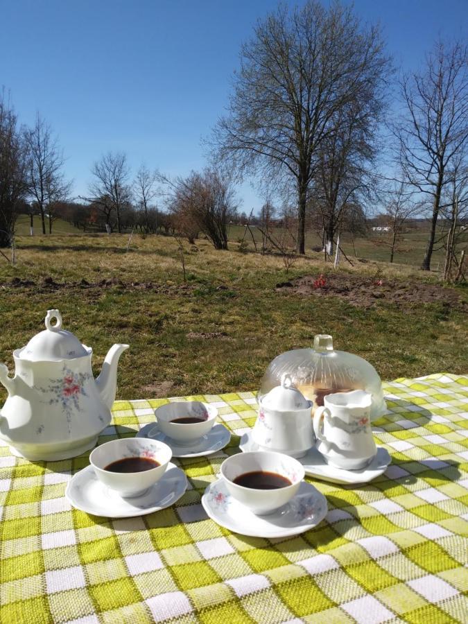 Miejsce Mocy Mazury Apartment Kolno  Bagian luar foto