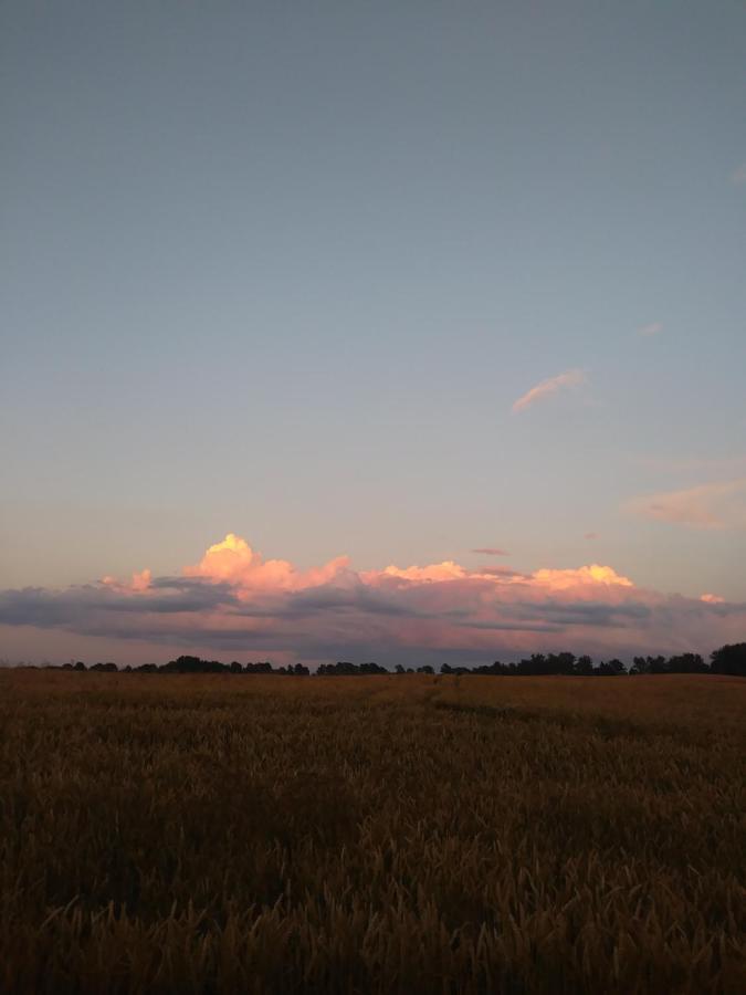 Miejsce Mocy Mazury Apartment Kolno  Bagian luar foto
