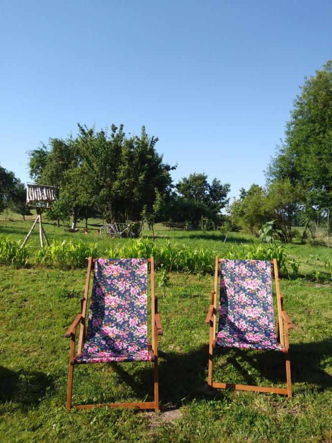 Miejsce Mocy Mazury Apartment Kolno  Bagian luar foto