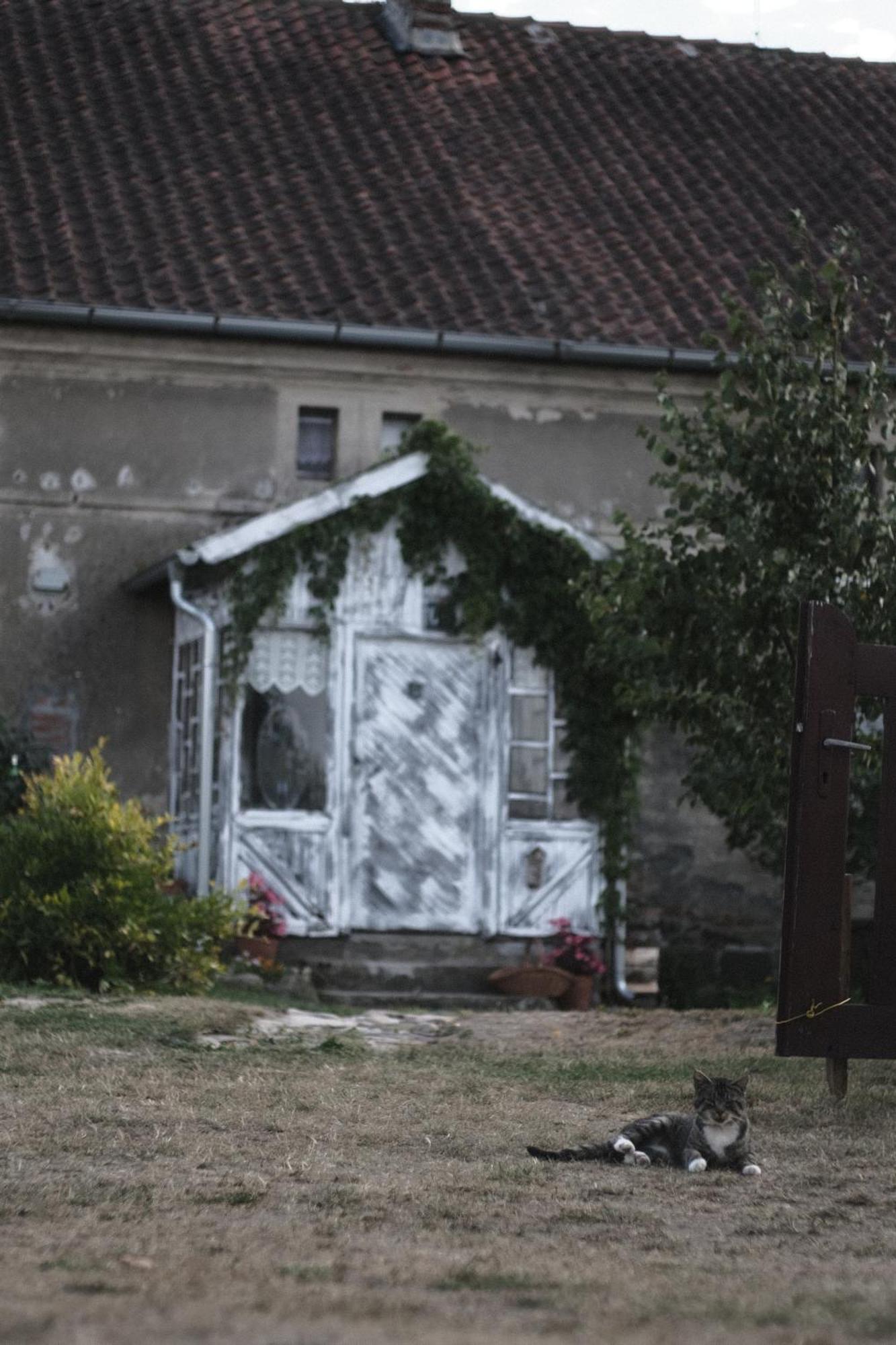 Miejsce Mocy Mazury Apartment Kolno  Bagian luar foto